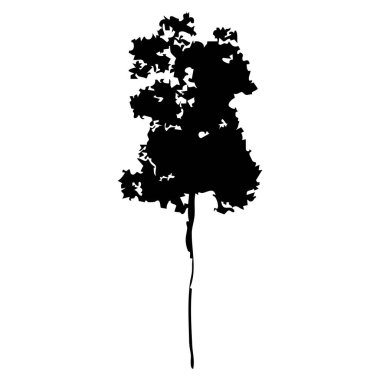 Elle çizilmiş ağaç siluet beyaz arka plan üzerinde