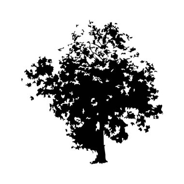 Elle çizilmiş ağaç siluet beyaz arka plan üzerinde