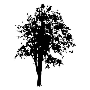 Elle çizilmiş ağaç siluet beyaz arka plan üzerinde