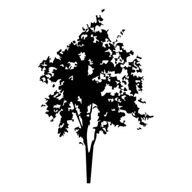 Elle çizilmiş ağaç siluet beyaz arka plan üzerinde