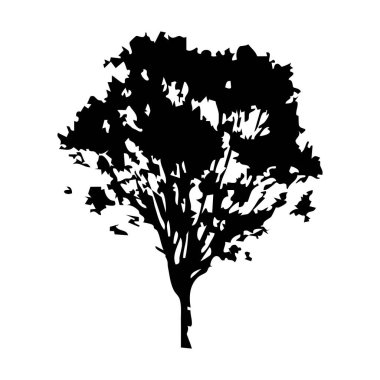 Elle çizilmiş ağaç siluet beyaz arka plan üzerinde