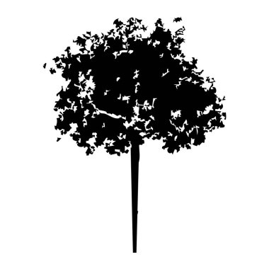 Elle çizilmiş ağaç siluet beyaz arka plan üzerinde