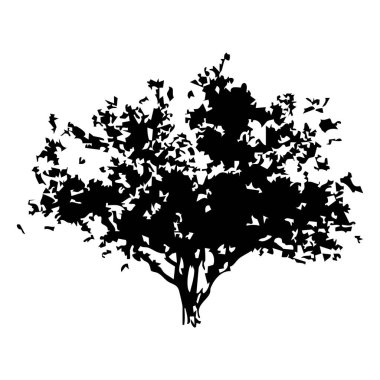 Elle çizilmiş ağaç siluet beyaz arka plan üzerinde