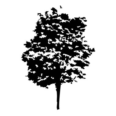 Elle çizilmiş ağaç siluet beyaz arka plan üzerinde