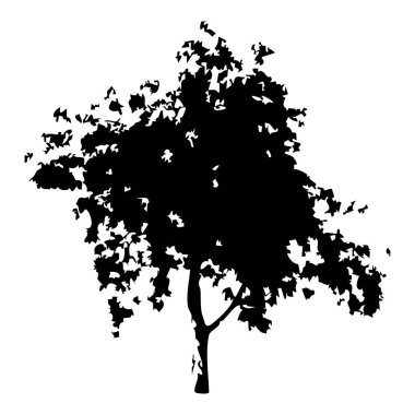 Elle çizilmiş ağaç siluet beyaz arka plan üzerinde