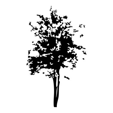 Elle çizilmiş ağaç siluet beyaz arka plan üzerinde