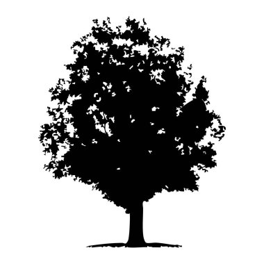 Elle çizilmiş ağaç siluet beyaz arka plan üzerinde