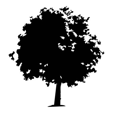 Elle çizilmiş ağaç siluet beyaz arka plan üzerinde