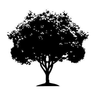 Elle çizilmiş ağaç siluet beyaz arka plan üzerinde