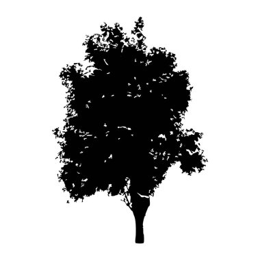 Elle çizilmiş ağaç siluet beyaz arka plan üzerinde