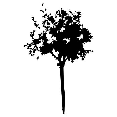 Elle çizilmiş ağaç siluet beyaz arka plan üzerinde