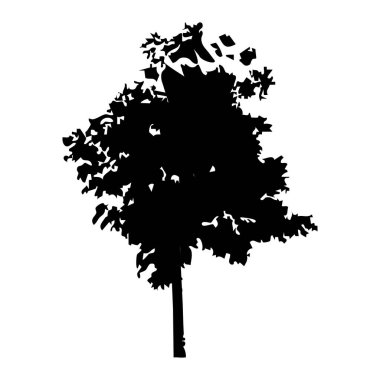 Elle çizilmiş ağaç siluet beyaz arka plan üzerinde