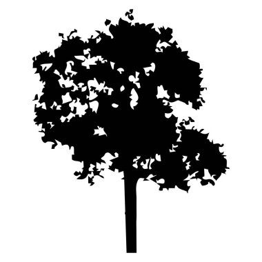 Elle çizilmiş ağaç siluet beyaz arka plan üzerinde
