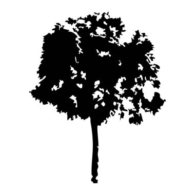 Elle çizilmiş ağaç siluet beyaz arka plan üzerinde