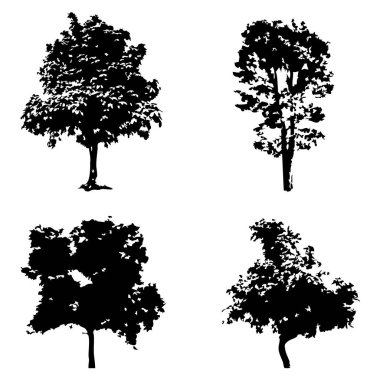 Elle çizilmiş ağaç siluet beyaz arka plan üzerinde