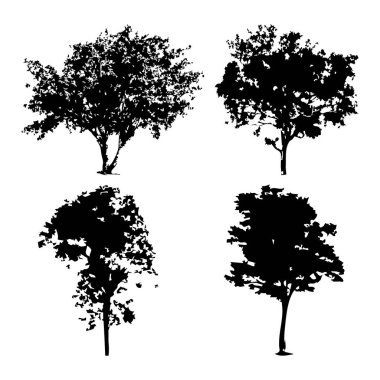 Elle çizilmiş ağaç siluet beyaz arka plan üzerinde