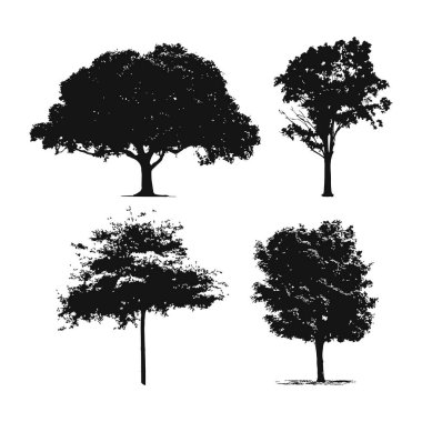 Elle çizilmiş ağaç siluet beyaz arka plan üzerinde