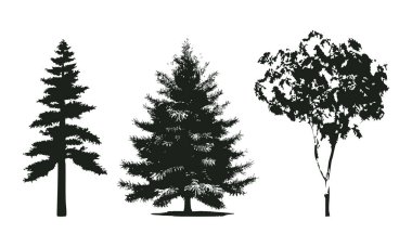 Elle çizilmiş ağaç siluet beyaz arka plan üzerinde