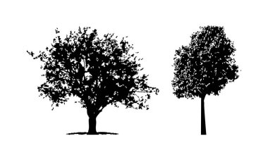 Elle çizilmiş ağaç siluet beyaz arka plan üzerinde