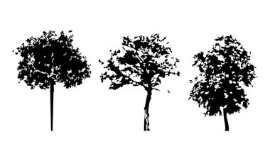 Elle çizilmiş ağaç siluet beyaz arka plan üzerinde