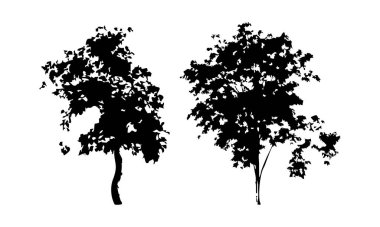 Elle çizilmiş ağaç siluet beyaz arka plan üzerinde