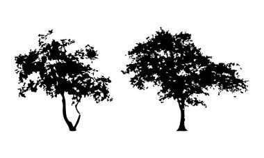 Elle çizilmiş ağaç siluet beyaz arka plan üzerinde