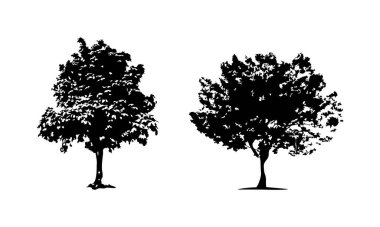 Elle çizilmiş ağaç siluet beyaz arka plan üzerinde