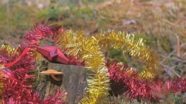 Ağaç gövdesinin yanında mantar olan bir sürü Noel süsü.