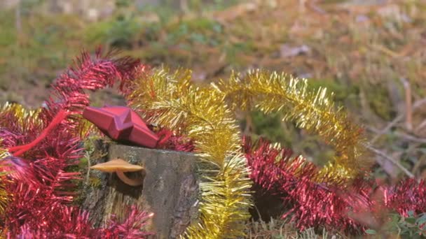 Много Рождественских Украшений Грибами Боку Ствола Дерева — стоковое видео