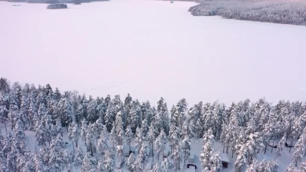 芬兰森林环绕的冰封湖中美丽的无人驾驶飞机镜头 空中地质拍摄 相机向前移动 慢慢向上倾斜 — 图库视频影像