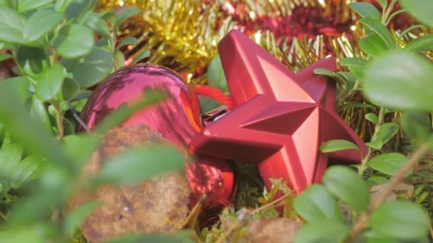 森の中の草の上の赤い星とクリスマスボール — ストック動画