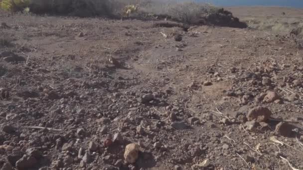 横に海の景色を望むテネリフェ島スペインのカナリア諸島の崖の岩の山 地質学的ショット — ストック動画