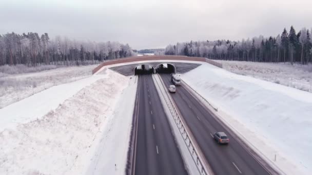 Tallinn Estonia February 2022 Aerial Shot Bridge Animals Cross Highway — 비디오