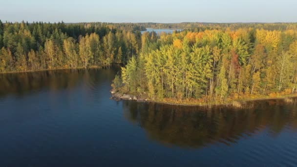 Aerial Shot Golden Color Trees Lake Saimaa Russian Finnish Border — Vídeo de Stock