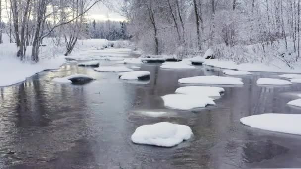 Білі Скелі Вкриті Снігом Річці Естонії Зимовий Сезон — стокове відео