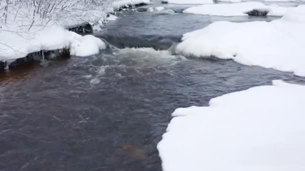 Вода Течет Реке Лесу Эстонии Снегом Земле Зимний Сезон — стоковое видео