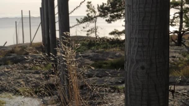 View Sea Coastal Area Barbed Wires Guarded Land — Stockvideo