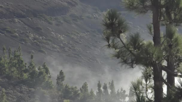 Groene Planten Aan Zijkant Van Teide Tenerife Spanje Met Wolken — Stockvideo