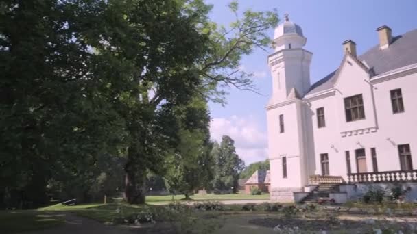 Alatskivi Estonia August 2020 Μεγάλα Δέντρα Έξω Από Γκαζόν Του — Αρχείο Βίντεο