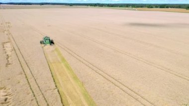 Rakke. Estonya-10 Ağustos 2020: Estonya 'daki buğday tarlasında görülen hareket eden yeşil hasat aracı. Hasat..