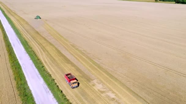 在阳光灿烂的日子里 与爱沙尼亚收获者一起鸟瞰麦田 红色卡车 在玉米地中间的路 — 图库视频影像