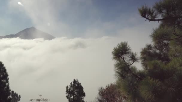 Zee Van Wolken Teide Vulkaan Tenerife Spanje Bomen Berg Teide — Stockvideo