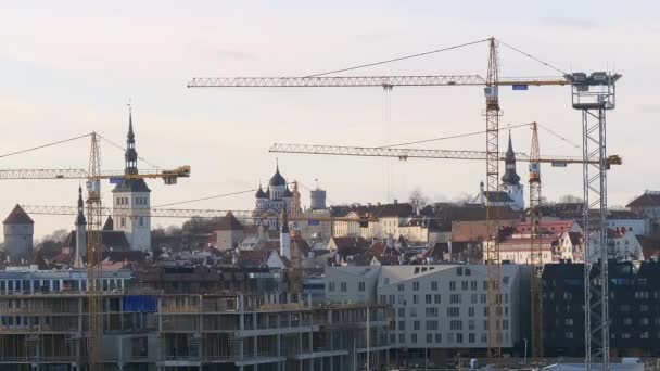 Tallinn Estland Februar 2020 Die Großen Kräne Aus Dem Hafen — Stockvideo