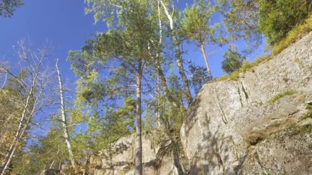 Utseendet Träden Toppen Granit Stenar Naturreservatet Skogen — Stockvideo