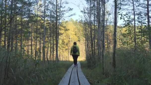 Krajina Výhledem Bažinatou Oblast Přírodní Rezervaci Dámou Kráčející Dřevěných Prknech — Stock video