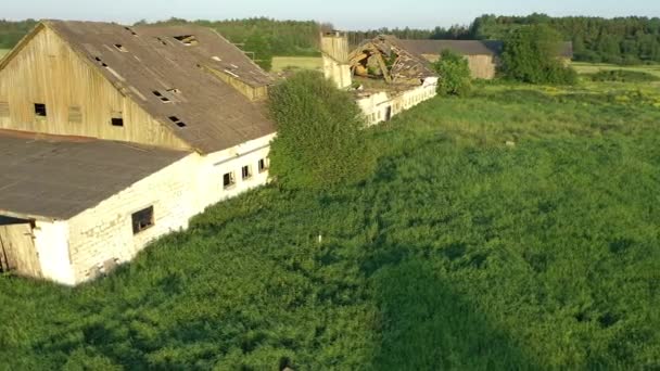 Koeru Estland Juli 2021 Drone Shot Van Een Geruïneerde Koeienstal — Stockvideo