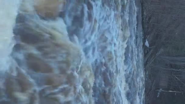 Detailní Letecký Záběr Řeky Lese Slunečného Dne Ukazující Krásnou Říční — Stock video
