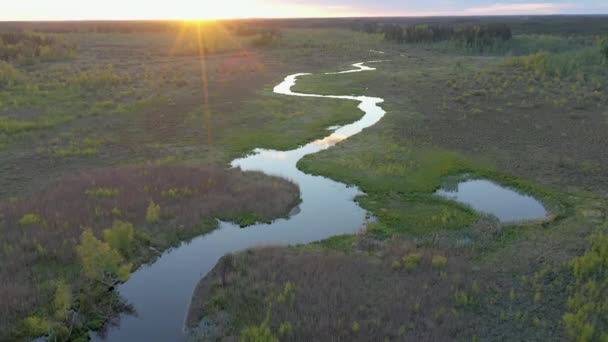 在爱沙尼亚的沼泽地里 一条长长的河流流淌着树木 夕阳西下 阳光灿烂 摄像机慢慢地向前移动 地质拍摄 — 图库视频影像