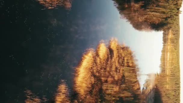 Gün Doğumu Nehir Yükseklikten Mesafeye Kadar Uzanıyor Ufukta Bir Orman — Stok video