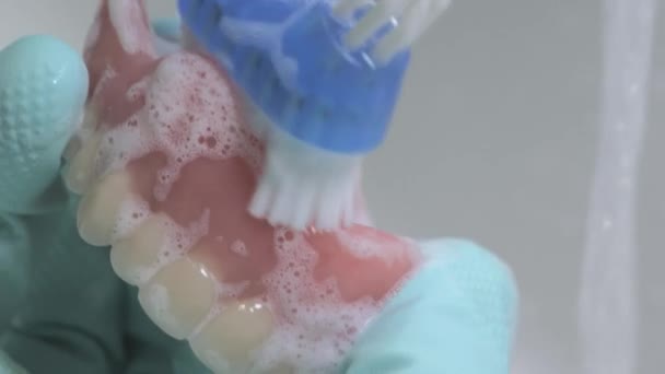 Zbliżenie Zdjęcia Czyszczenia Zębów Protezy Szczotką Używa Się Gumowych Rękawiczek — Wideo stockowe